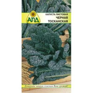 Семена АПД Капуста листовая Черная Тосканская / A10431