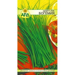 Семена АПД Лук-шнитт Богемия / A10101
