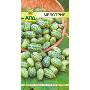 Семена АПД Мелотрия / A10106