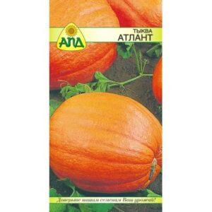 Семена АПД Тыква Атлант / A10365