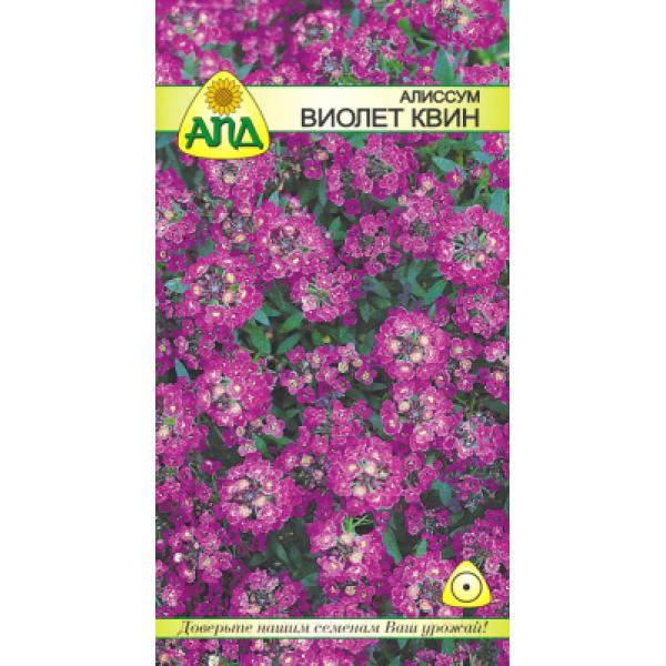 Семена цветов АПД Алиссум Виолет Квин / A20007