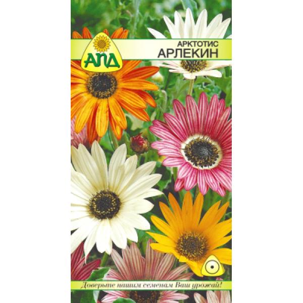 Семена цветов АПД Арктотис Арлекин / A20013