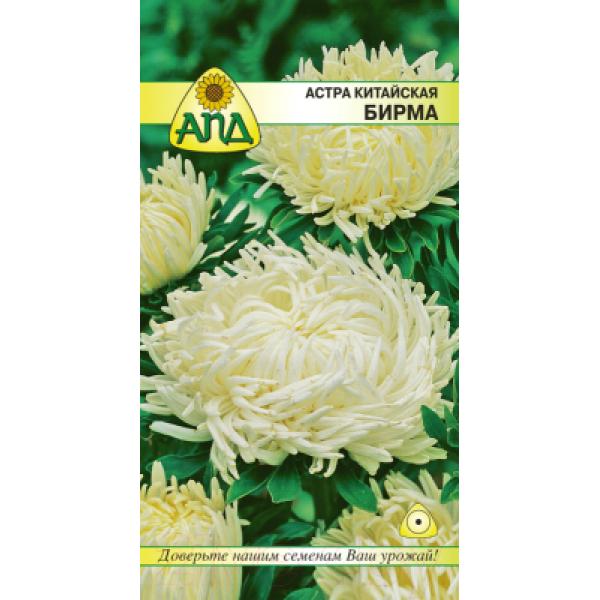 Семена цветов АПД Астра Бирма / A20364