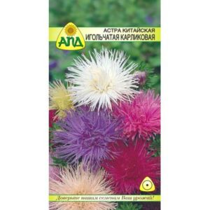 Семена цветов АПД Астра игольчатая карликовая смесь / A20032
