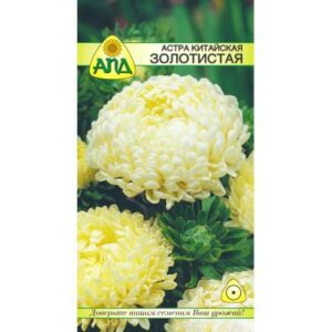Семена цветов АПД Астра Золотистая / A20031
