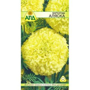 Семена цветов АПД Бархатцы Аляска / A20073