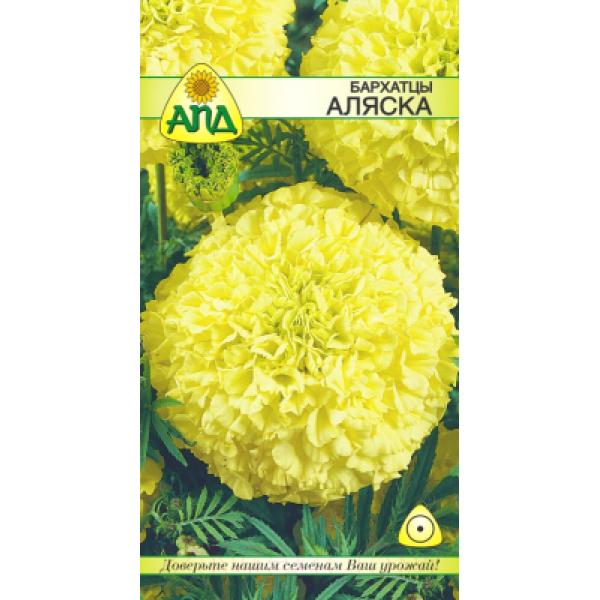 Семена цветов АПД Бархатцы Аляска / A20073