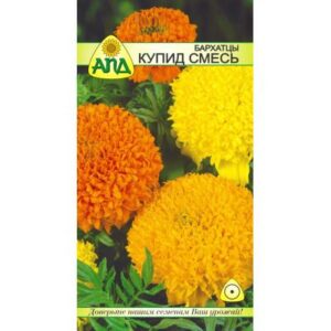 Семена цветов АПД Бархатцы Купид смесь / A20082