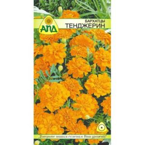 Семена цветов АПД Бархатцы Тенджерин / A20089