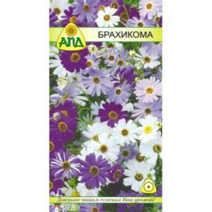Семена цветов АПД Брахикома смесь / A20096