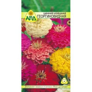 Семена цветов АПД Цинния Георгиновидная смесь / A20303