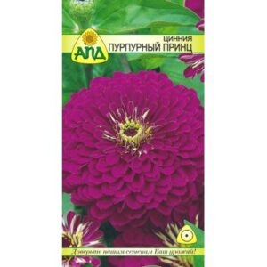Семена цветов АПД Цинния Пурпурный Принц / A20314