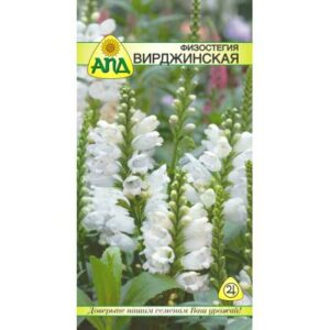Семена цветов АПД Физостегия вирджинская / A20288