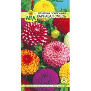 Семена цветов АПД Георгина Карнавал помпонная / A20134