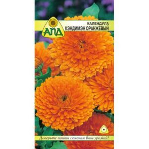 Семена цветов АПД Календула Кэндимэн Оранжевый / A20165