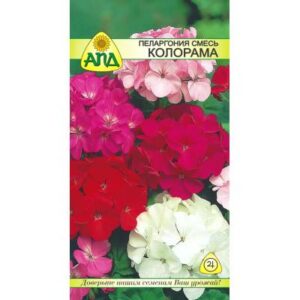 Семена цветов АПД Пеларгония смесь Колорама F2 / A20228