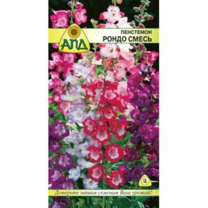 Семена цветов АПД Пенстемон Рондо смесь / A20347