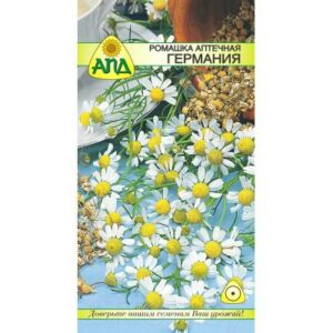Семена цветов АПД Ромашка аптечная Германия / A20260