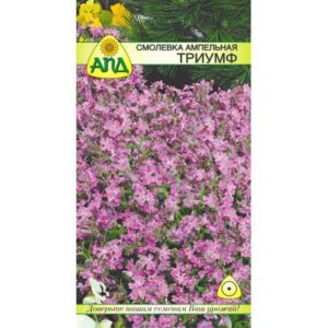 Семена цветов АПД Смолевка ампельная Триумф / A20275
