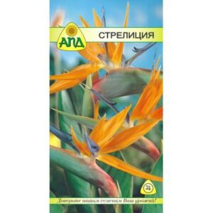 Семена цветов АПД Стрелиция (К) / A20278