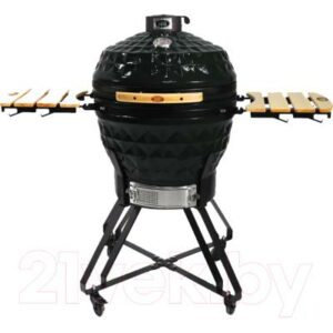 Угольный гриль Start Grill SG24